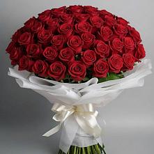 Букет 101 Красная роза Блэк Мэджик #REPLACE_PRED# Экажево