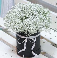 Цветочная композиция из Гипсофила в шляпной коробке #REPLACE_PRED# Экажево