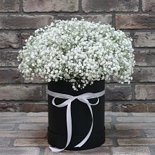 Цветочная композиция из Гипсофила в шляпной коробке в Экажево