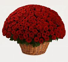 Премиум букет из: Розы в Экажево